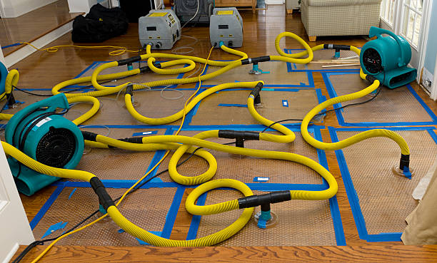 Professional Water Damage Restoration technician working in Blue Mounds, WI